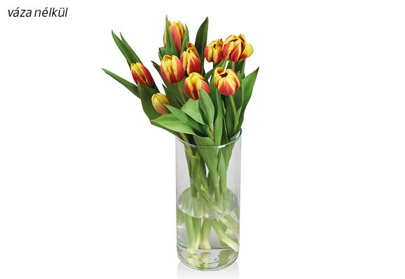 Tulipáncsokor, 9 szál/csokor