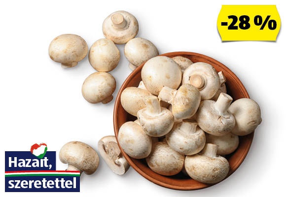 BIO NATURA Bio gomba, 250 g/csomag