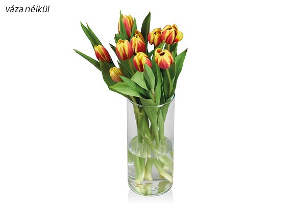 Tulipáncsokor, 9 szál/csokor