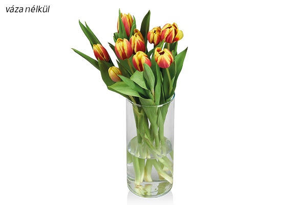 Tulipáncsokor, 9 szál/csokor