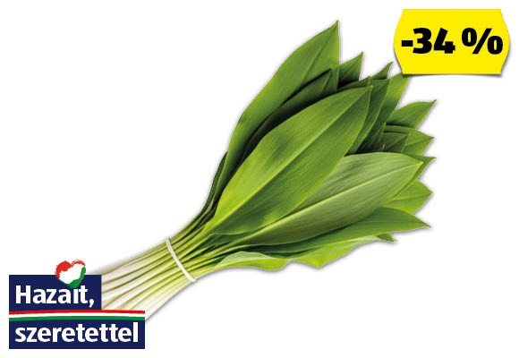 Medvehagyma, 100 g/csomag