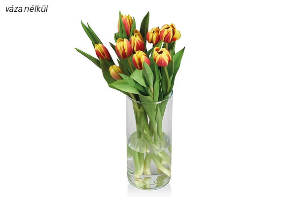 Tulipáncsokor, 9 szál/csokor