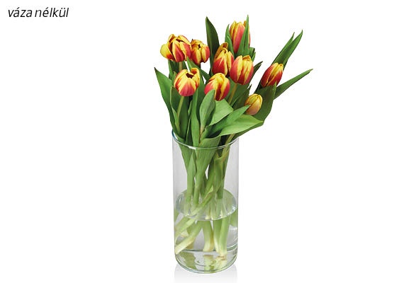 Tulipáncsokor, 9 szál/csokor
