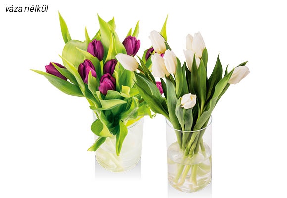 Tulipáncsokor, 9 szál/csokor