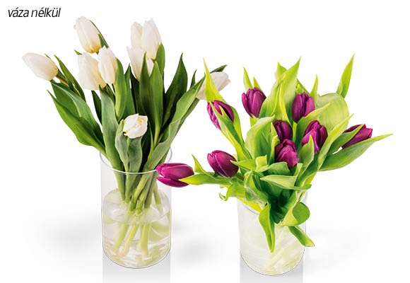 Tulipáncsokor, 9 szál/csokor
