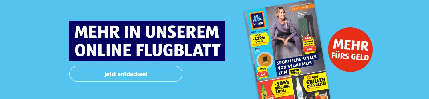 Online Flugblatt