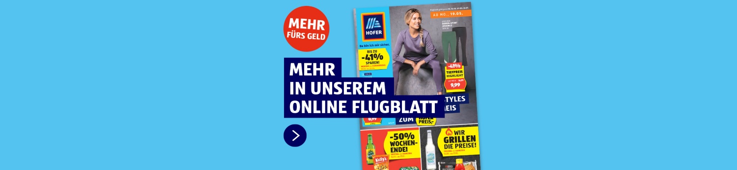 Online Flugblatt