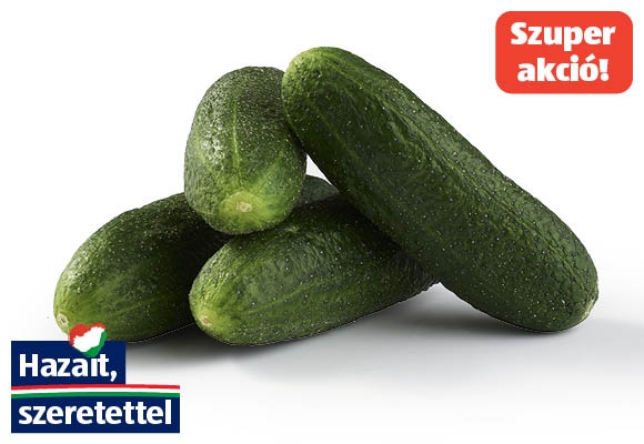 Kovászolni való uborka, /kg