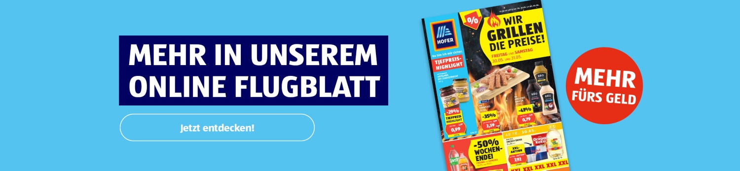 Online Flugblatt