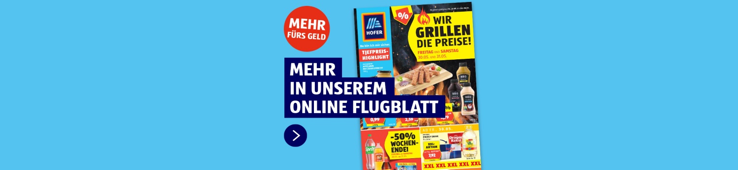 Online Flugblatt