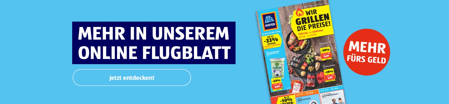 Online Flugblatt