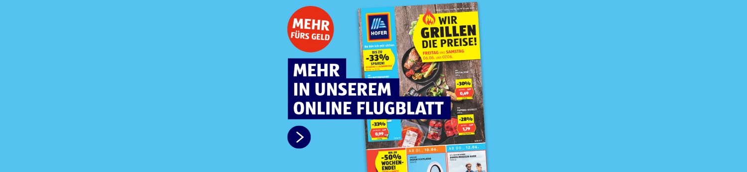 Online Flugblatt