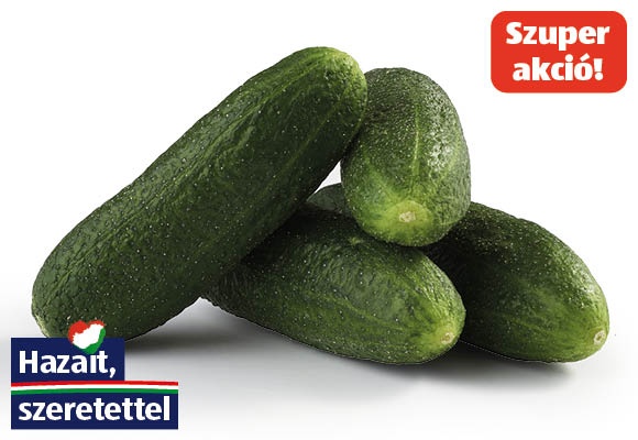 Kovászolni való uborka, /kg