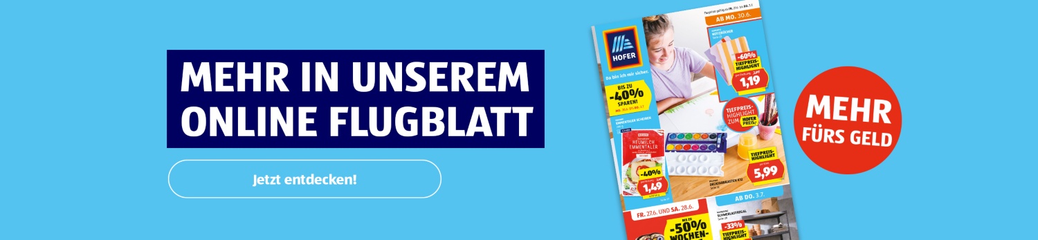Online Flugblatt