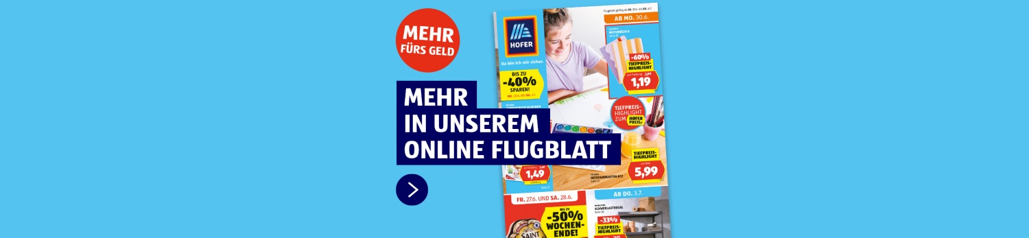 Online Flugblatt