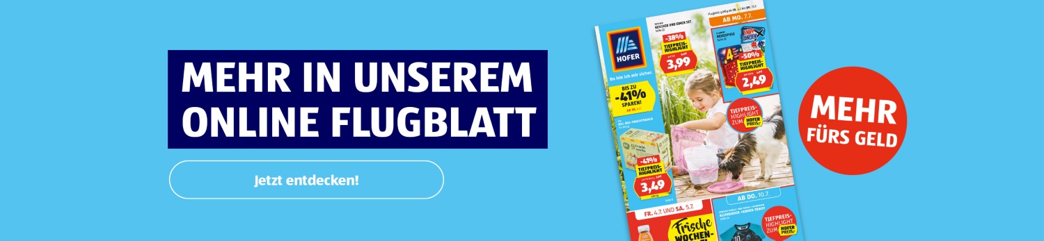 Online Flugblatt