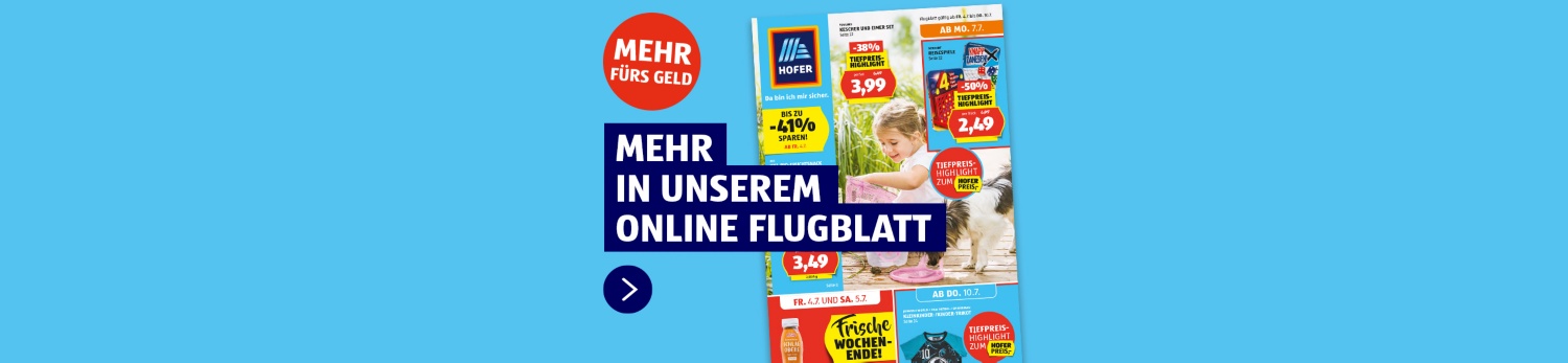 Online Flugblatt