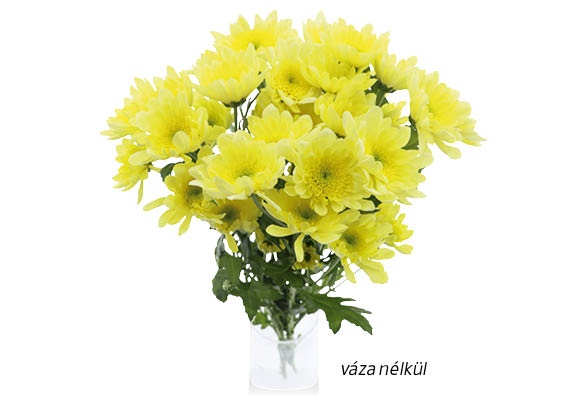 Krizantémcsokor, 4 szál/csokor