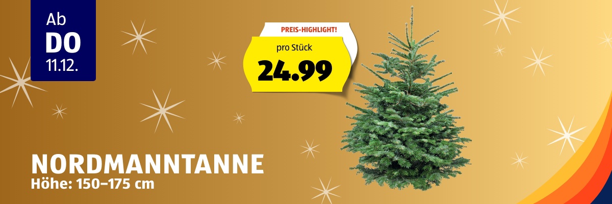 Donnerstag ab 11.12.