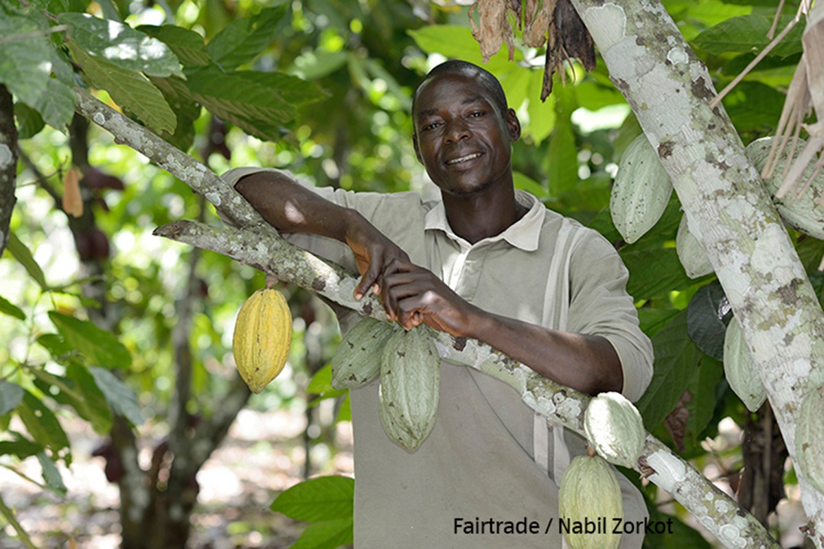 Fairtrade Faire Bedingungen Fur Mensch Und Umwelt