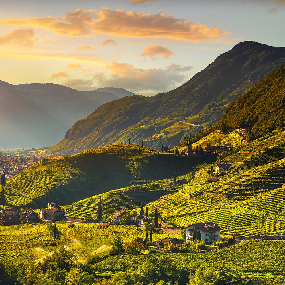 Zona di produzione lagrein