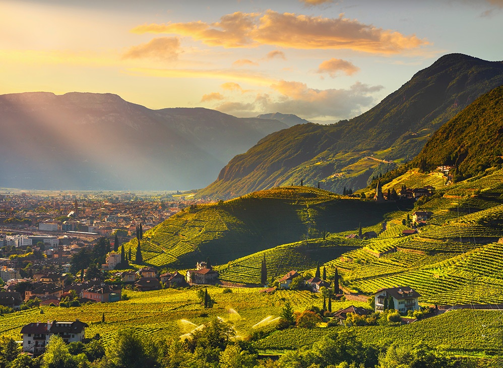 Zona di produzione Lagrein