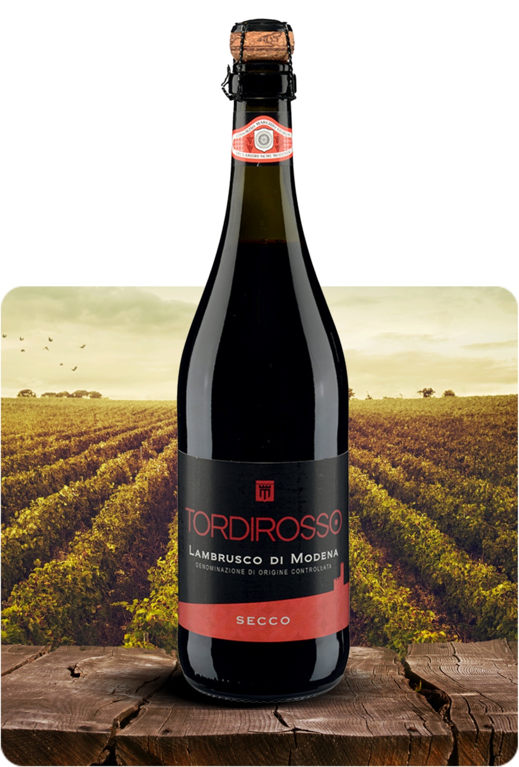 Lambrusco Secco DOC  