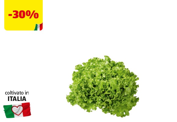 I COLORI DEL SAPORE Lattuga Gentile