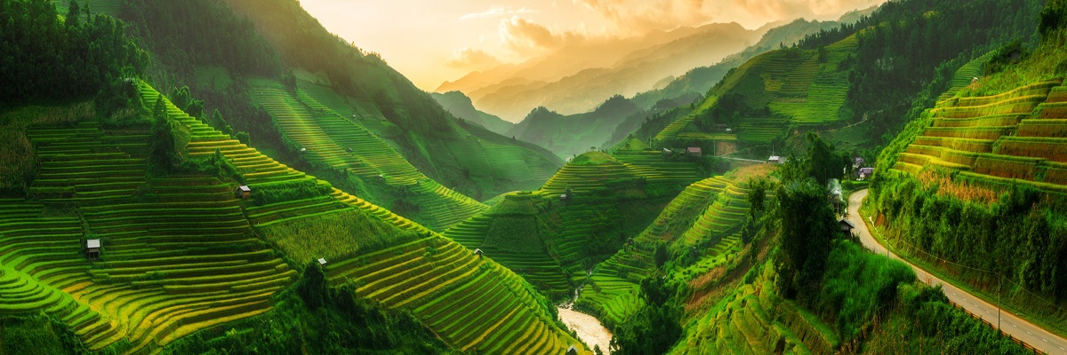 Hribi in doline polne zelenih plantaž v daljavi pa sonce