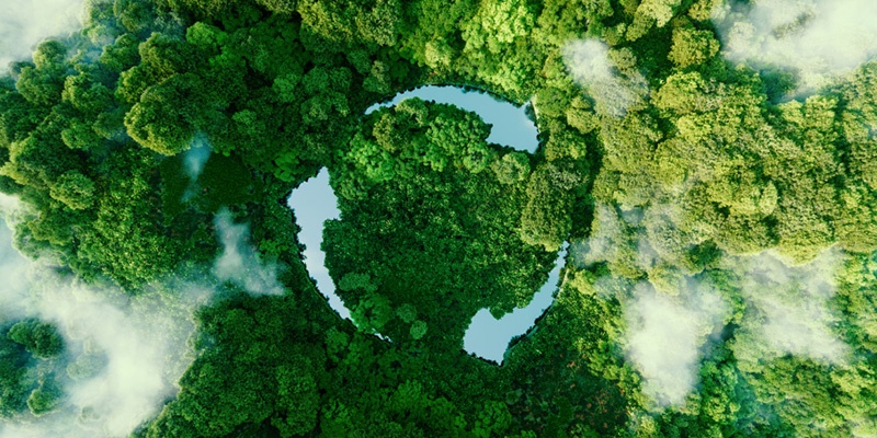 Zelen gozd iz ptičje perspektive, v sredini pa puščice, ki nakazujejo na recikliranje