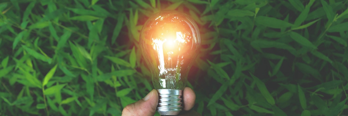 V ozadju so zelene rastline spredaj pa sveti žarnica