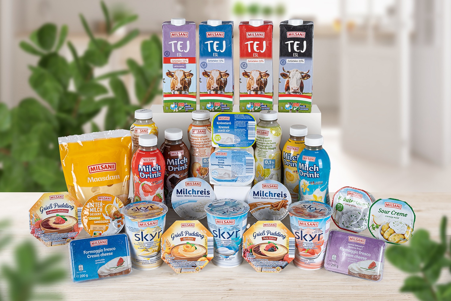 MILFINA-ból MILSANI lett