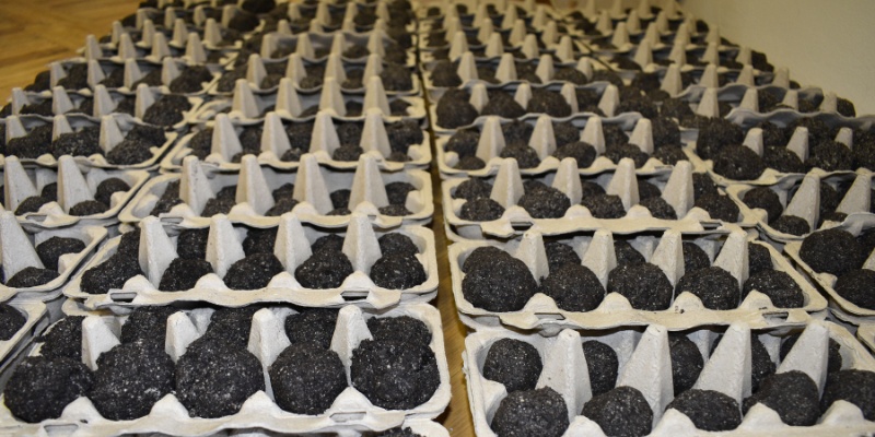 Paketi za obeležitev Dneva sajenja medovitih rastlin