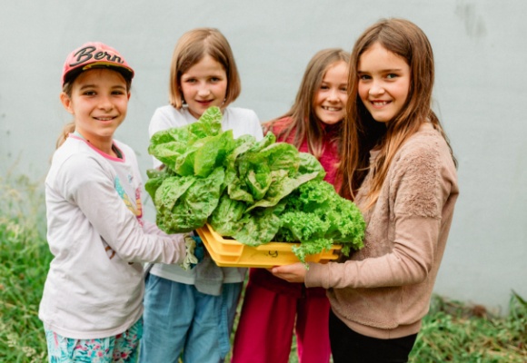 ALDI SUISSE è il nuovo partner principale della GemüseAckerdemie