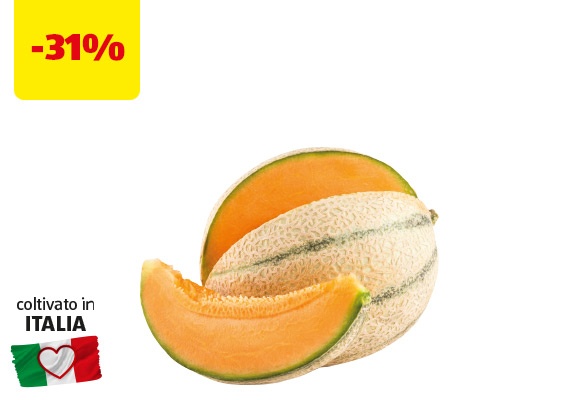 I COLORI DEL SAPORE Melone Retato