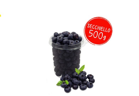 Mirtilli 500 g