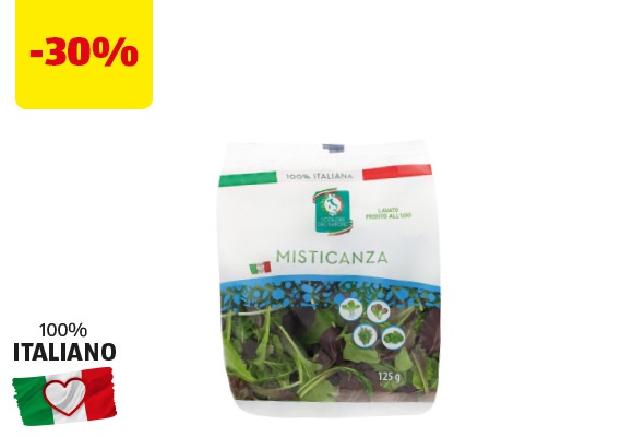 I COLORI DEL SAPORE Misticanza 125 g