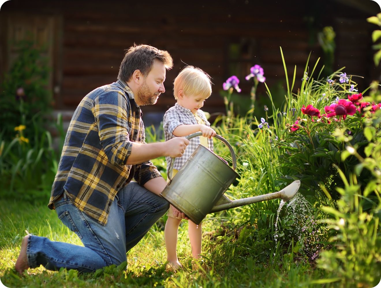 Vater und Kind gießen mit Metallkanne bunte Blumen im sonnigen Garten vor Holzhütte.