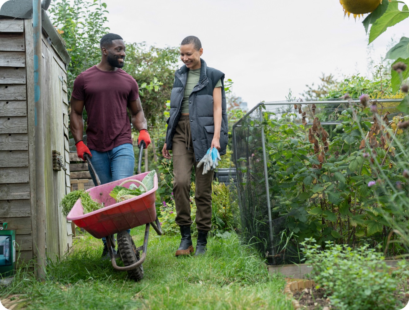 Zwei Personen arbeiten lachend im Garten, einer schiebt Schubkarre mit Gemüse neben Hochbeeten und Geräteschuppen.