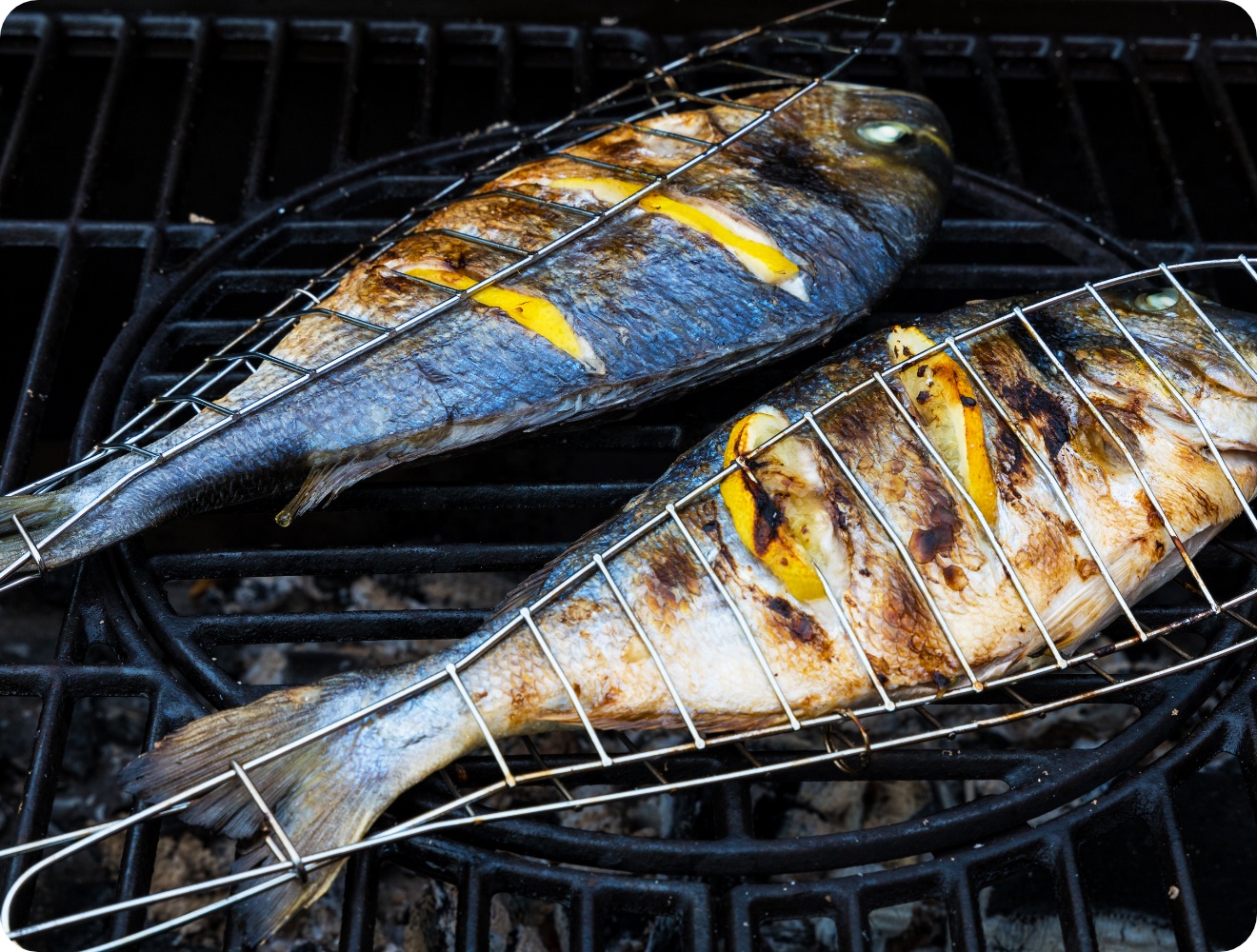 Zwei ganze Fische mit Zitronenscheiben in Grillgitter auf Holzkohlegrill, Haut goldbraun gegrillt.