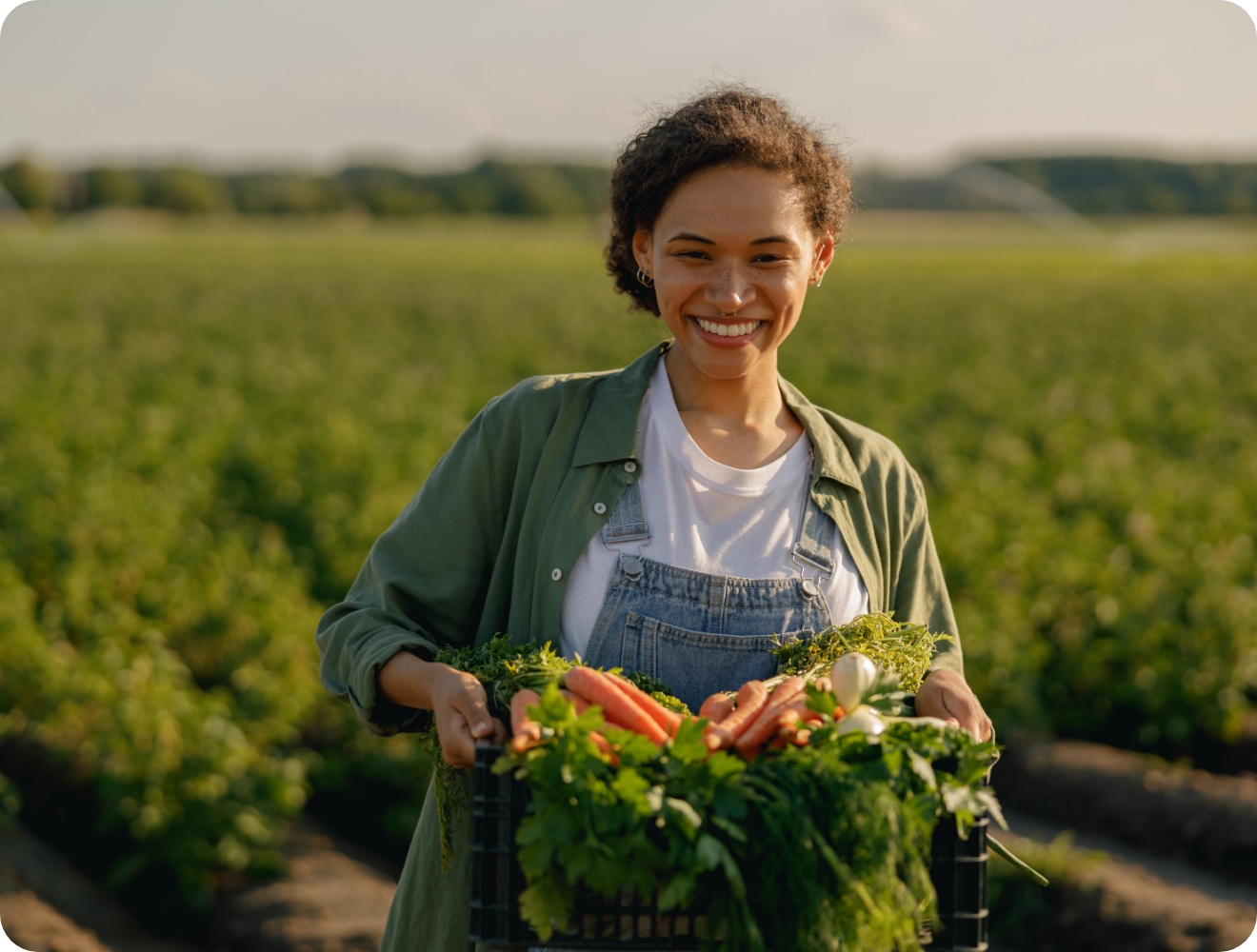 Ein Frau trägt ein Kiste mit frisch geernteten Möhren vom Feld.