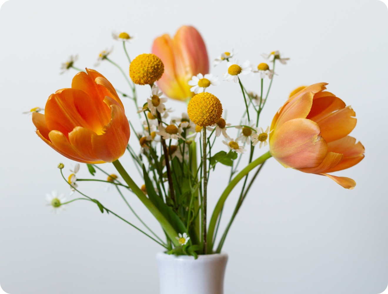 Minimalistischer Frühlingsstrauß aus orangefarbenen Tulpen und Gänseblümchen.