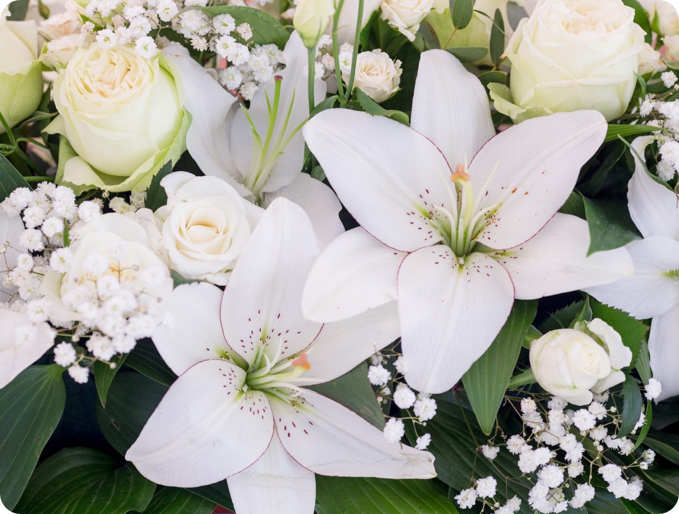Elegante Blumenkomposition mit weißen Lilien, Rosen und zartem Schleierkraut auf grünen Blättern..