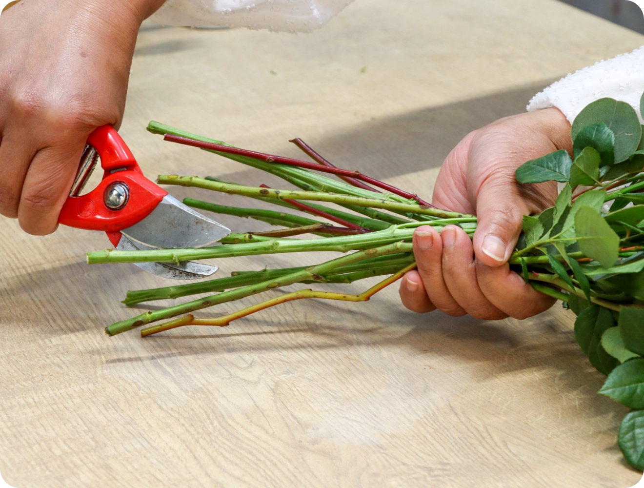 Person kürzt Blumenstiele mit einem Messer.