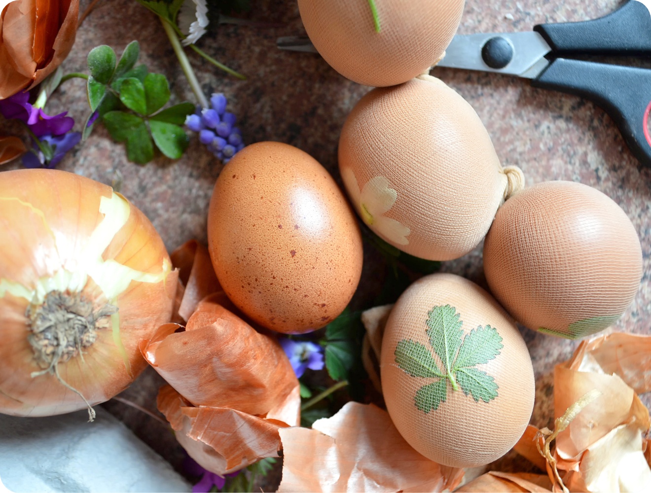 Ostereier mit Blattmustern mit Nylon überzogen für das natürliche Färben mit Zwiebelschalen.