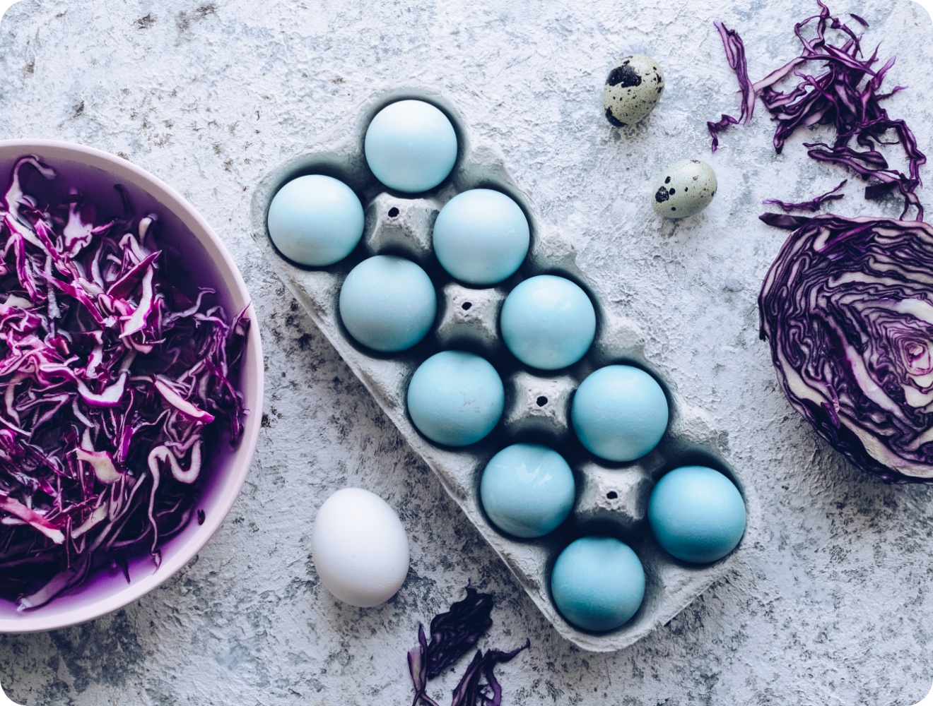 Hellblaue Ostereier, natürlich gefärbt mit Rotkohl, in einem Eierkarton, daneben liegen von Rotkohlstreifen und Wachteleier.