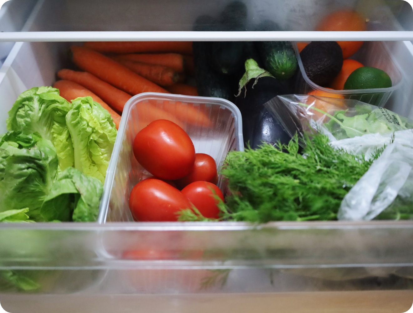 Blick in ein Gemüsefach gefüllt mit frischem Salat, Tomaten, Karotten, Gurken, Auberginen, Kräutern und Zitrusfrüchten.
