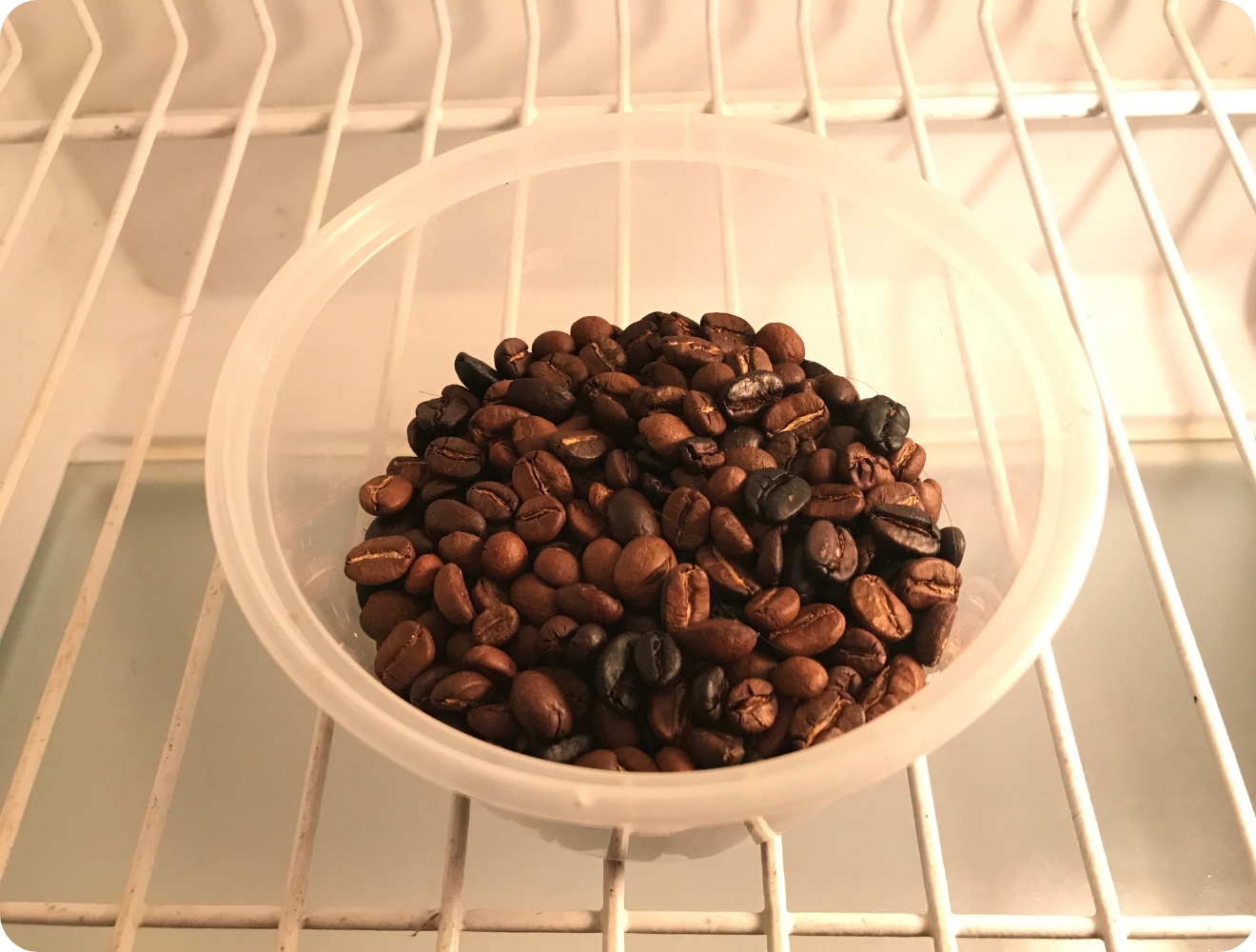 Schale mit Kaffeebohnen steht im Kühlschrank und wird als natürlicher Geruchsneutralisierer gegen unangenehme Gerüche verwendet.