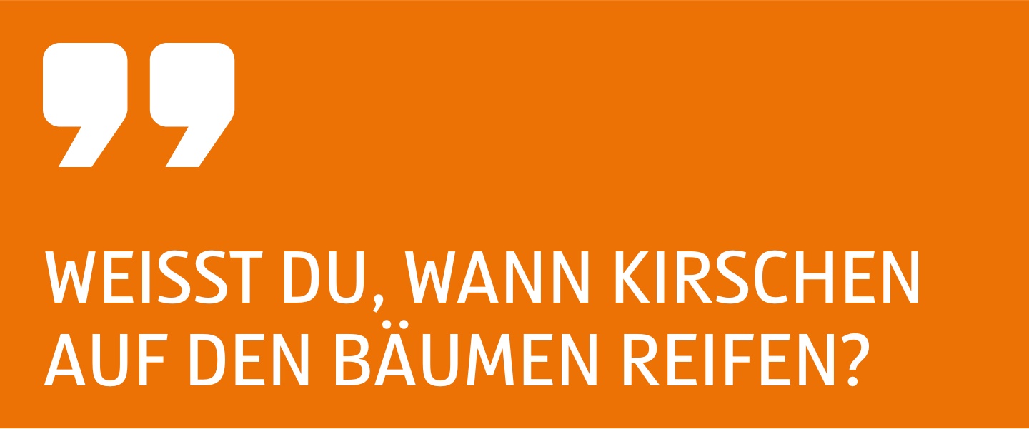 Zitat Weißt du, wann Kirschen auf den Bäumen reifen