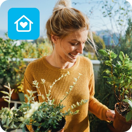 Frau steht auf sonniger, begrünter Dachterrasse und hält frisch eingepflanzte, grüne Sträucher in den Händen.